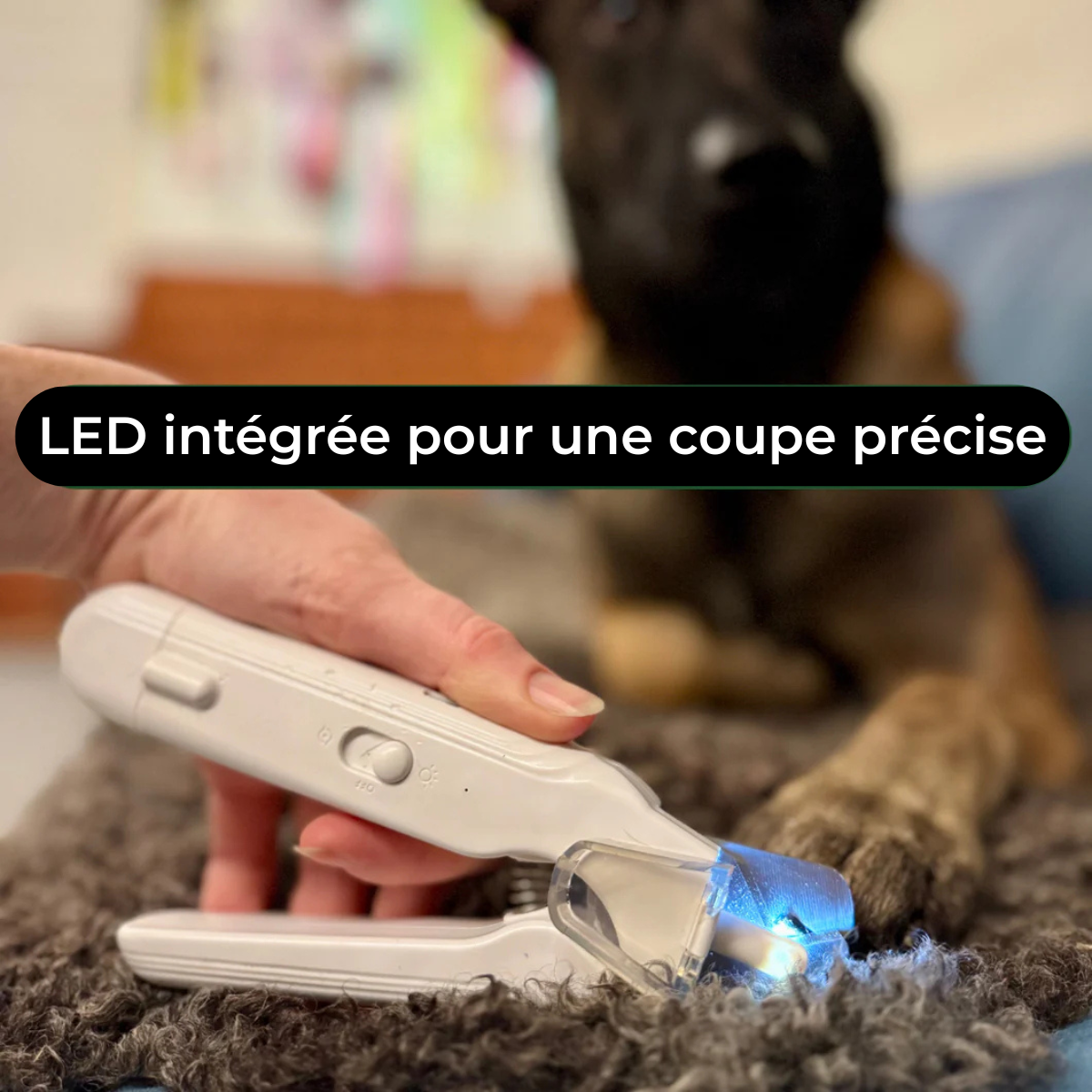 TassCare™ - Coupe et lime les griffes de votre animal en toute sécurité